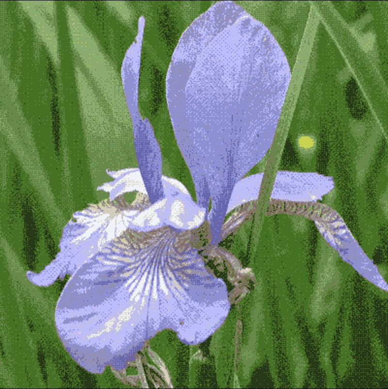 Screen capture image of the filtered canvas